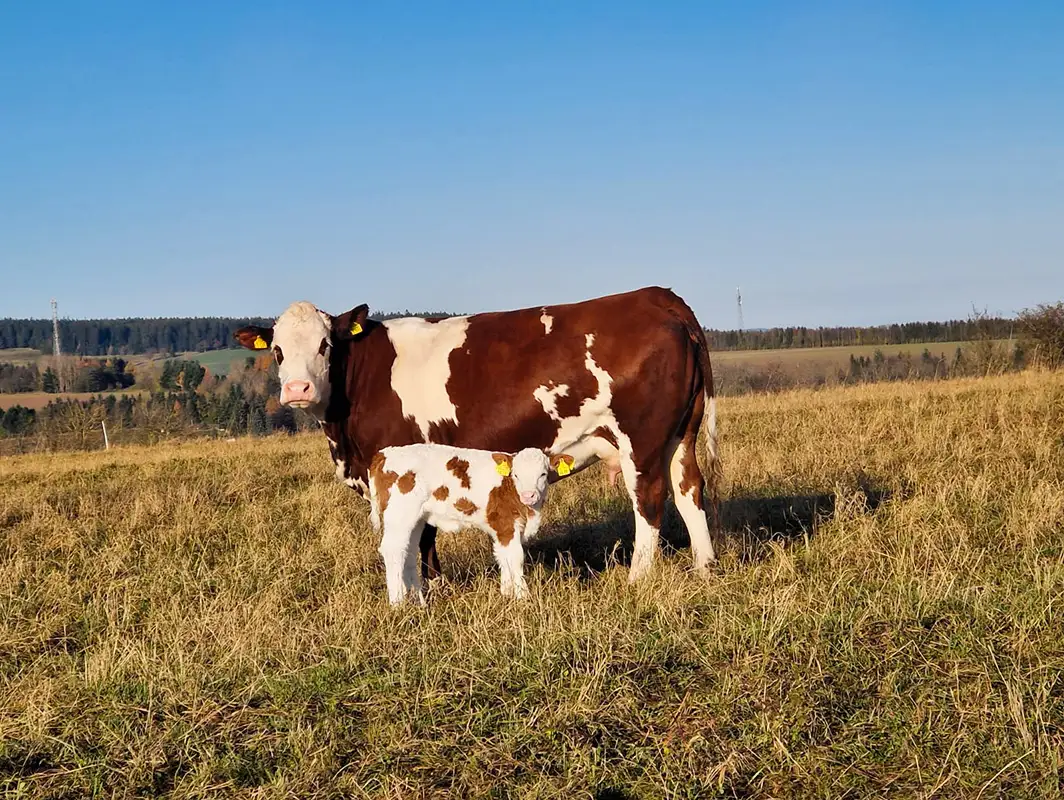 Was dich bei uns erwartet